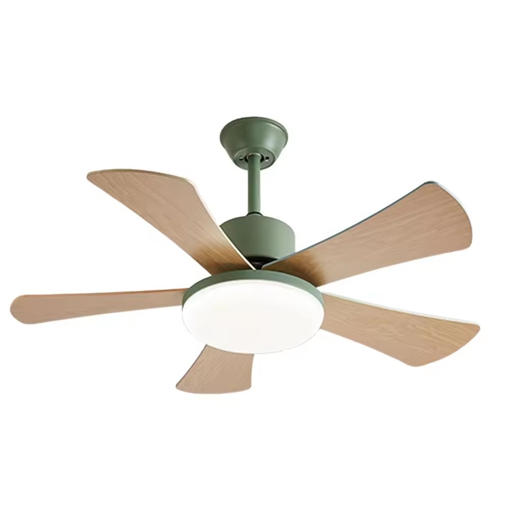 Ceiling Fan Light