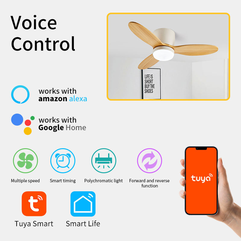 Nordic chandelier hanging living room ceiling fan