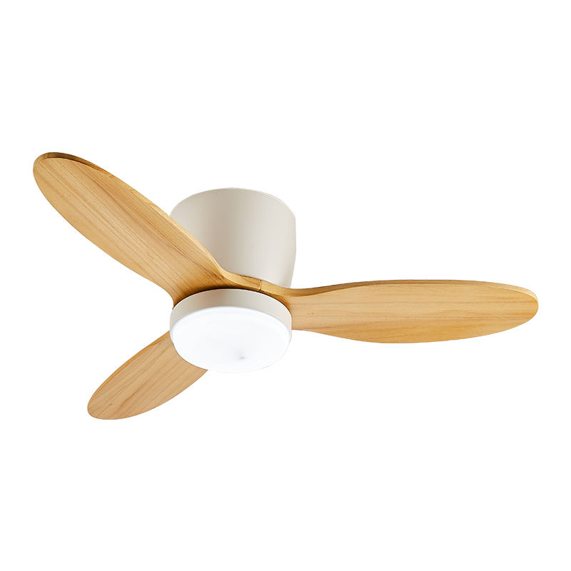 Nordic chandelier hanging living room ceiling fan