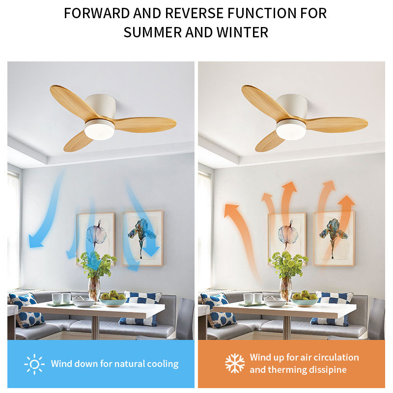 Nordic chandelier hanging living room ceiling fan