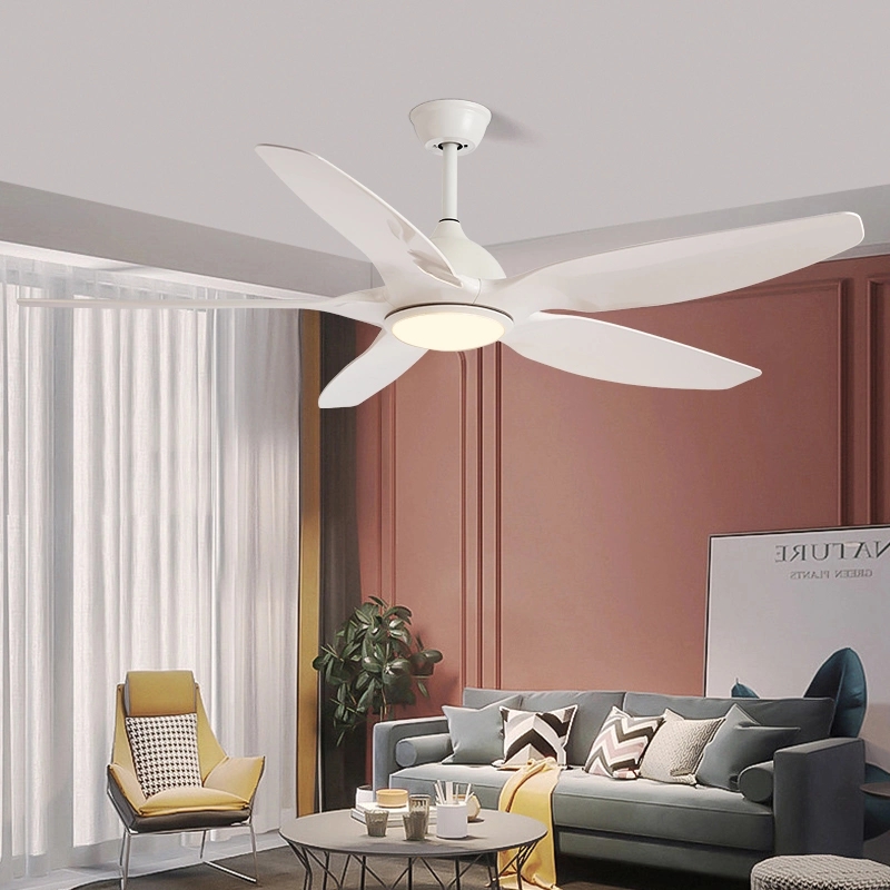 Factory Wholesale 52 Inch 5 Iron Blade Restaurant Nordic Lighting DC LED Ceiling Fan