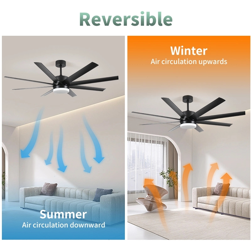 New Design Remote Control Modern Style Cheap Ceiling Fan with Light